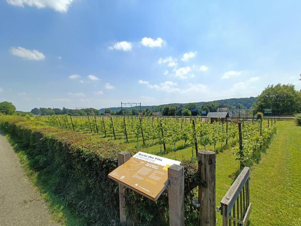 Halte Sint-Gerlach Holiday Home Holiday home Valkenburg aan de Geul